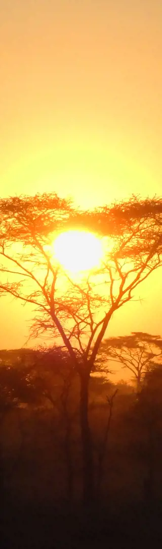 This is Africa